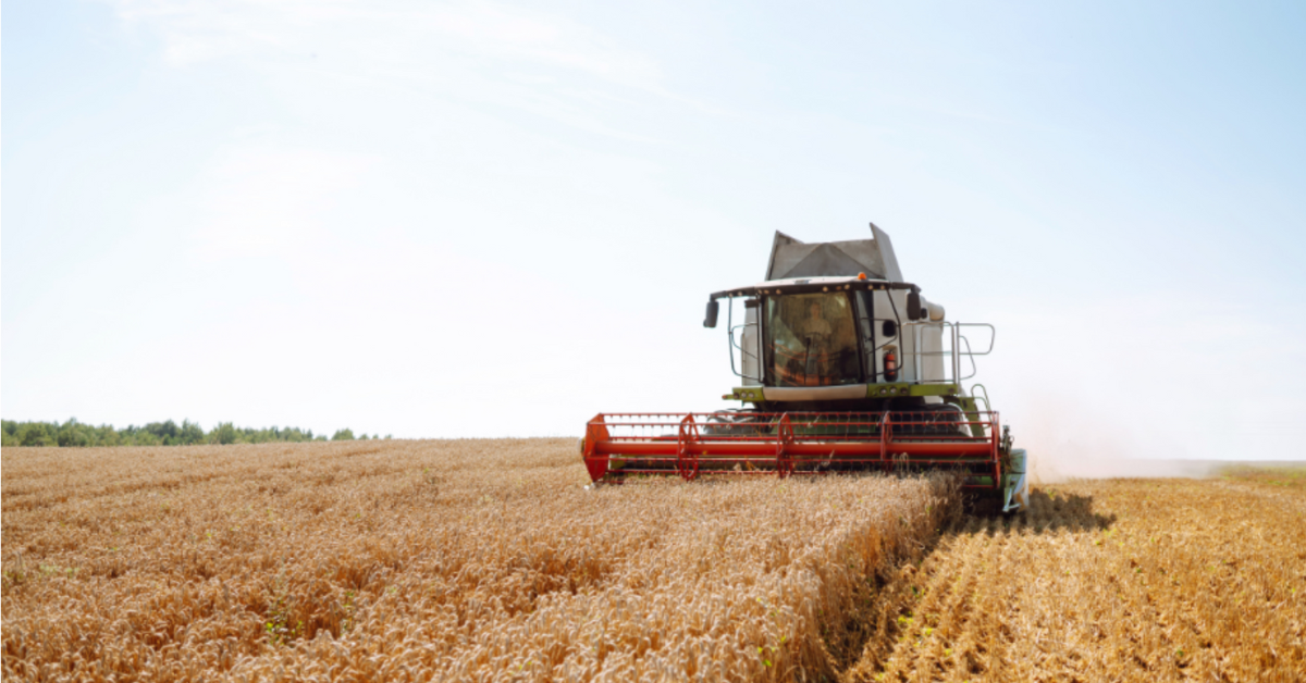 tractor harvesting a grain field